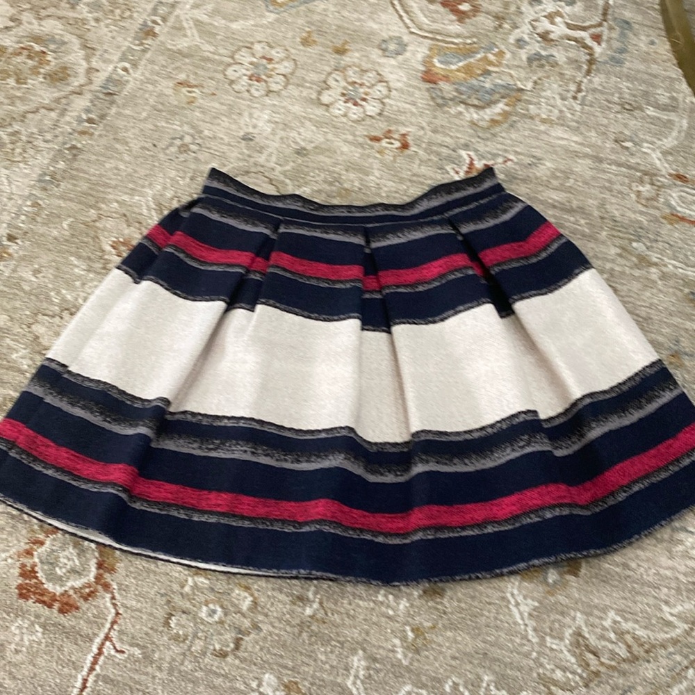 Zara lined pleated skirt